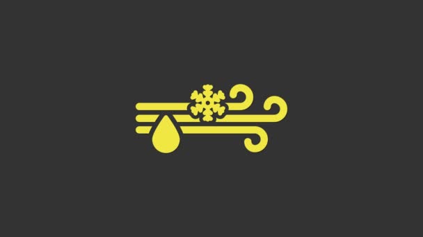 Jaune Vent et pluie avec icône de neige isolée sur fond gris. Temps venteux. Animation graphique de mouvement vidéo 4K — Video