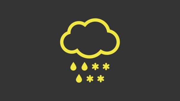 Nuvola gialla con icona neve e pioggia isolata su sfondo grigio. Icona meteo. Animazione grafica 4K Video motion — Video Stock