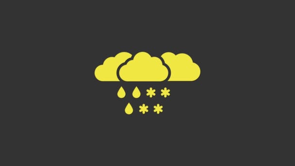 Nuvola gialla con icona neve e pioggia isolata su sfondo grigio. Icona meteo. Animazione grafica 4K Video motion — Video Stock