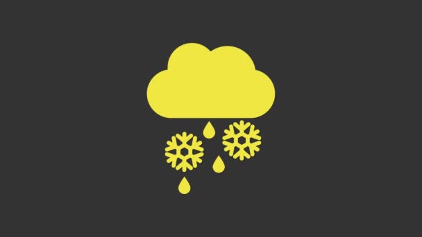 Gele wolk met sneeuw en regen pictogram geïsoleerd op grijze achtergrond. Weersicoon. 4K Video motion grafische animatie — Stockvideo