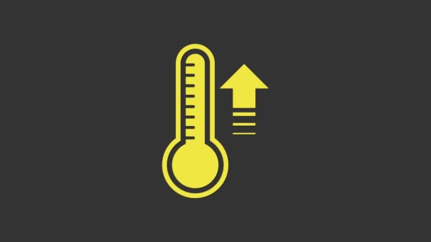 Gul meteorologi termometer mäta värme och kall ikon isolerad på grå bakgrund. Termometerutrustning som visar varmt eller kallt väder. 4K Video motion grafisk animation — Stockvideo