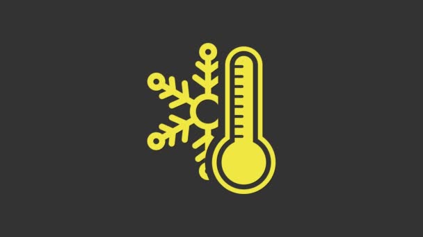 Жовтий термометр з піктограмою сніжинки ізольовано на сірому фоні. 4K Відео рух графічна анімація — стокове відео