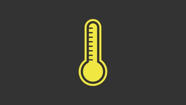 Gele Meteorologie thermometer meten warmte en koude pictogram geïsoleerd op grijze achtergrond. Thermometer apparatuur toont warm of koud weer. 4K Video motion grafische animatie — Stockvideo