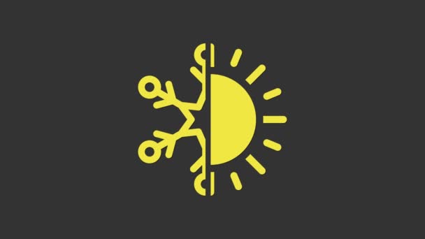 Símbolo amarillo caliente y frío. Icono de sol y copo de nieve aislado sobre fondo gris. Símbolo de invierno y verano. Animación gráfica de vídeo 4K — Vídeo de stock