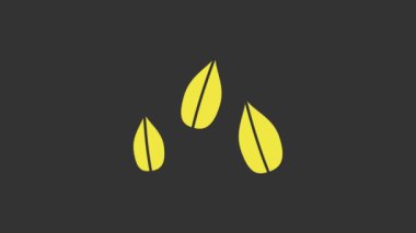 Sarı susam tohumu simgesi gri arkaplanda izole edildi. 4K Video hareketli grafik canlandırması