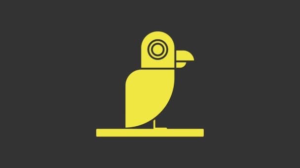 Sárga kalóz papagáj ikon elszigetelt szürke alapon. 4K Videó mozgás grafikus animáció — Stock videók