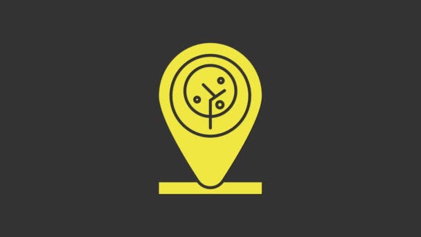 Icono de ubicación amarilla y árbol aislado sobre fondo gris. Animación gráfica de vídeo 4K — Vídeos de Stock