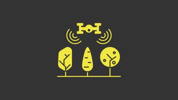 黄色智能农场与无人机控制和树图标隔离在灰色背景。农业企业创新技术。4K视频运动图形动画 — 图库视频影像