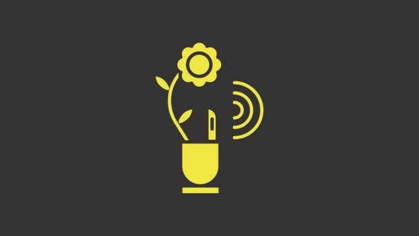 Tecnologia de agricultura inteligente amarela - sistema de automação agrícola no ícone do aplicativo isolado em fundo cinza. Animação gráfica em movimento de vídeo 4K — Vídeo de Stock