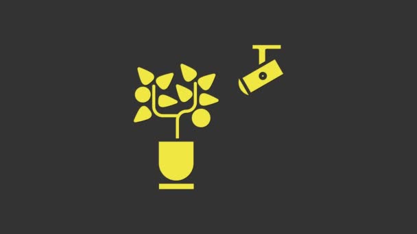 옐로우 스마트 농업 기술 - 농장 자동화 시스템은 회색 배경에 분리 된 앱 아이콘으로 되어 있다. 4K 비디오 모션 그래픽 애니메이션 — 비디오