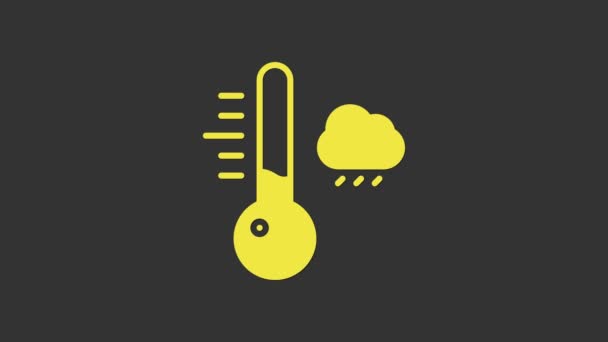 Thermomètre météorologique jaune mesurant l'icône isolée sur fond gris. Équipement de thermomètre montrant le temps chaud ou froid. Animation graphique de mouvement vidéo 4K — Video