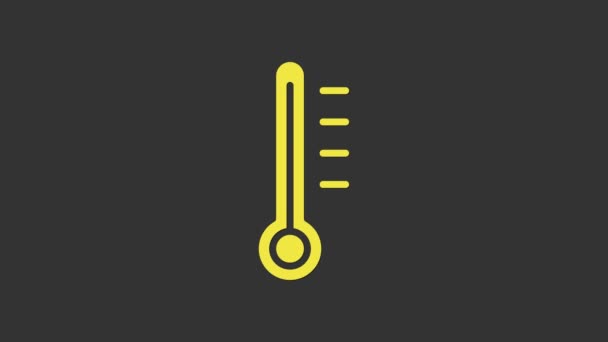 Termometro Meteorologia Gialla icona di misurazione isolato su sfondo grigio. Apparecchiatura termometrica che mostra tempo caldo o freddo. Animazione grafica 4K Video motion — Video Stock