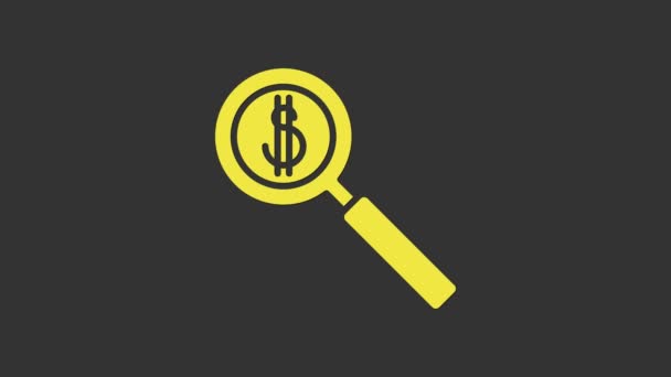Gul förstoringsglas och dollar symbol ikon isolerad på grå bakgrund. Hitta pengar. Letar efter pengar. 4K Video motion grafisk animation — Stockvideo