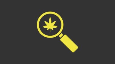 Sarı büyüteç ve tıbbi marihuana veya gri arka planda izole edilmiş kenevir yaprağı ikonu. Kenevir sembolü. 4K Video hareketli grafik canlandırması
