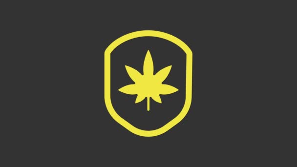 黄色の盾とマリファナまたは大麻の葉のアイコンは灰色の背景に隔離されています。マリファナ合法化。ヘンプ記号。4Kビデオモーショングラフィックアニメーション — ストック動画