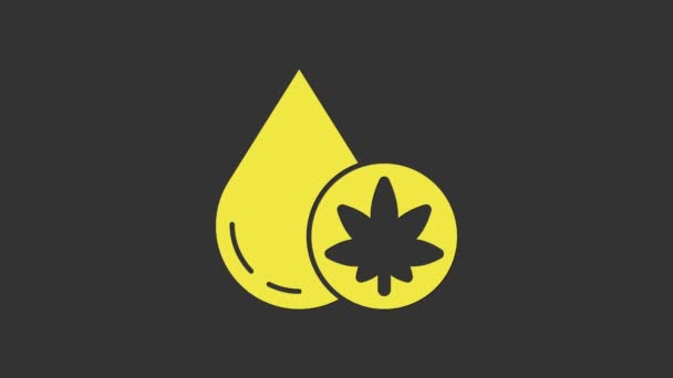 Жовті медичні марихуани або конопель листя оливкової олії ізольовані на сірому фоні. Екстракт конопель. Конопляний символ. 4K Відео рух графічна анімація — стокове відео