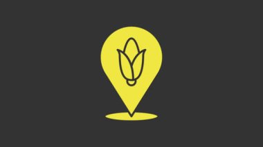 Sarı konum mısır ikonu gri arkaplanda izole edildi. 4K Video hareketli grafik canlandırması