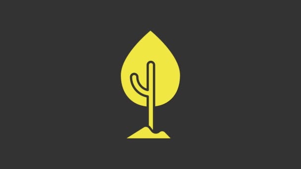 Иконка желтого дерева выделена на сером фоне. Символ леса. Видеографическая анимация 4K — стоковое видео