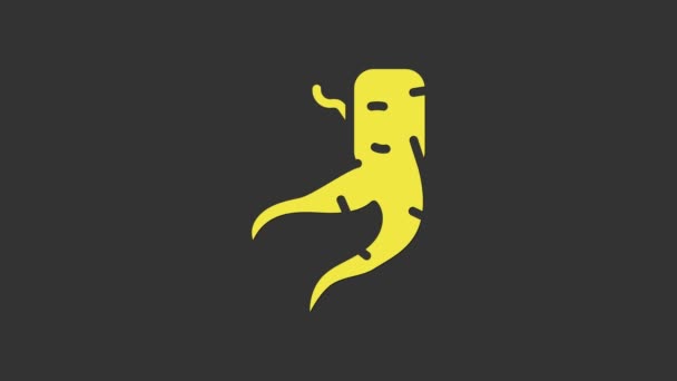 Icona radice di zenzero giallo isolata su sfondo grigio. Animazione grafica 4K Video motion — Video Stock