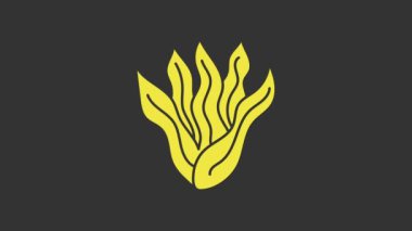 Sarı yosun simgesi gri arkaplanda izole edildi. Su altı deniz yosunu spirulinası, deniz yosunu bitkisi. Vejetaryen ve vejetaryen yemekleri. 4K Video hareketli grafik canlandırması