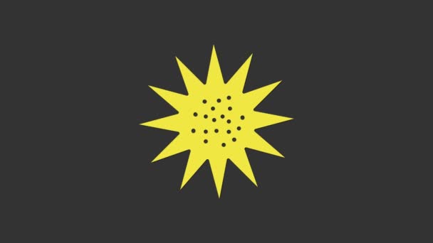 Sárga tengeri sün ikon elszigetelt szürke alapon. 4K Videó mozgás grafikus animáció — Stock videók