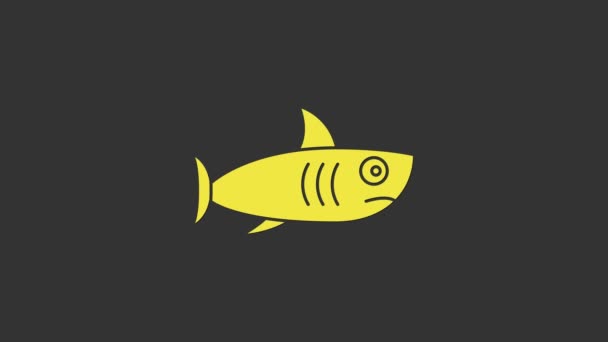 Ícone de tubarão amarelo isolado no fundo cinza. Animação gráfica em movimento de vídeo 4K — Vídeo de Stock