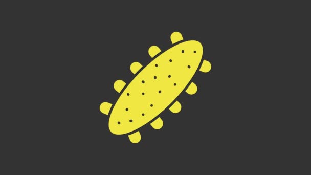 Sárga-tengeri uborka ikon elszigetelt szürke alapon. Tengerészeti kaja. 4K Videó mozgás grafikus animáció — Stock videók