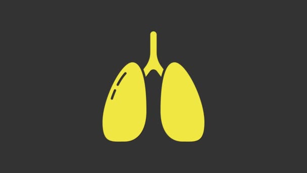 Icône poumons jaunes isolée sur fond gris. Animation graphique de mouvement vidéo 4K — Video