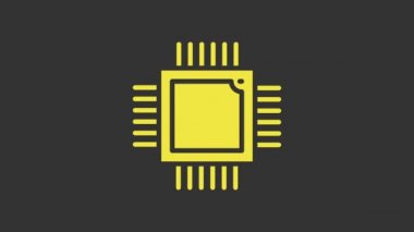 Gri arkaplanda mikro devre işlemci simgesine sahip sarı bilgisayar işlemcisi izole edildi. Devre kartlı çip ya da işlemci. Mikro işlemci. 4K Video hareketli grafik canlandırması