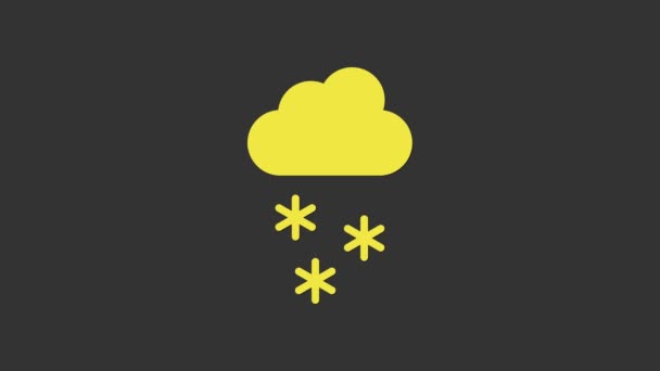 Κίτρινο σύννεφο με εικονίδιο χιονιού απομονωμένο σε γκρι φόντο. Σύννεφο με νιφάδες χιονιού. Μονό καιρικό φαινόμενο. Χιονίζει. 4K Γραφική κίνηση κίνησης βίντεο — Αρχείο Βίντεο