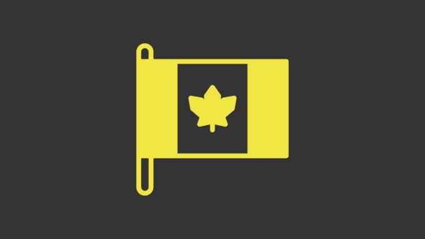 Kanada 'nın Sarı Bayrağı simgesi gri arkaplanda izole edildi. Bayrak direğinde Kuzey Amerika bayrağı. 4K Video hareketli grafik canlandırması — Stok video