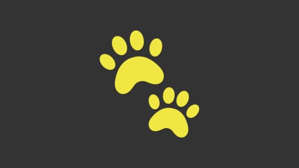 Ikon cetak Yellow Paw diisolasi pada latar belakang abu-abu. Sidik jari anjing atau kucing. Jalur hewan. Animasi grafis gerak Video 4K — Stok Video