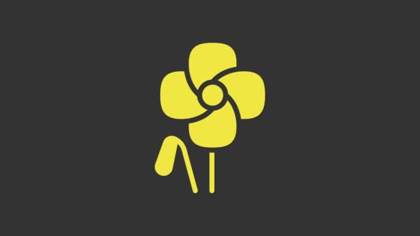 Žluté mák květina ikona izolované na šedém pozadí. Grafická animace pohybu videa 4K — Stock video