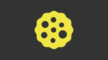 Sarı Kurabiye ya da gri arka planda izole edilmiş çikolata ikonlu bisküvi. 4K Video hareketli grafik canlandırması