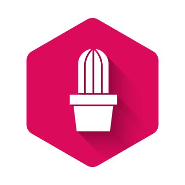 Beyaz Kaktüs ve tencere ikonunda sulu uzun gölgeli arka plan. Tencerede yetişen bir bitki. Saksı bitkisi işareti. Pembe altıgen düğmesi. Vektör