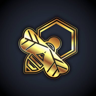 Altın Arı ve bal peteği simgesi siyah arkaplanda izole edilmiş. Bal hücreleri. Bal arısı ya da kanat sembollü apis. Uçan böcek. Tatlı doğal yemek. Vektör