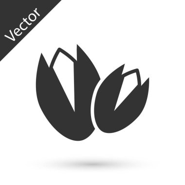 Gri fıstıklı ikon beyaz arka planda izole edilmiş. Vektör