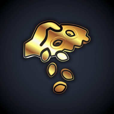 Siyah arka planda izole edilmiş özel bir bitki simgesinin altın tohumları. Vektör