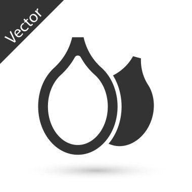 Beyaz arkaplanda izole edilmiş gri kabak tohumu ikonu. Vektör