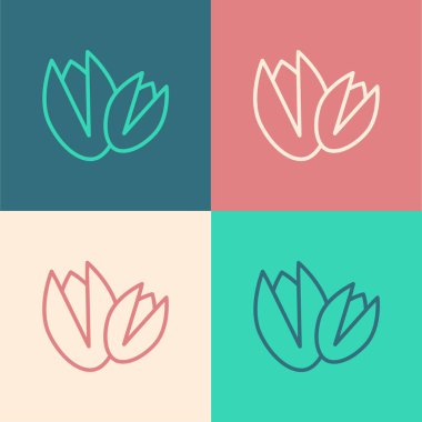 Pop Art Line Pistachio fındık ikonu renk arkaplanında izole edilmiş. Vektör