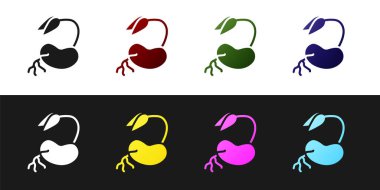 Filiz simgesini siyah beyaz arkaplanda izole et. Tohum ve tohum. İşaret bırakıyor. Yaprak doğası. Vektör