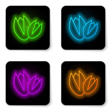 Parlayan neon hattı Pistachio fındık ikonu beyaz arka planda izole edildi. Siyah kare düğme. Vektör