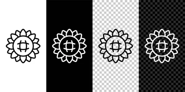 Establecer Línea Icono Girasol Aislado Blanco Negro Fondo Transparente Vector — Archivo Imágenes Vectoriales