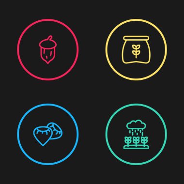 Çizgiyi aşma tohumu, yağmur altında filizlenen bitki, un ve meşe ağacı, meşe fıstığı, tohum ikonu. Vektör