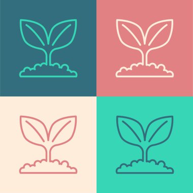 Pop sanat çizgisi bitki simgesi renk arkaplanında izole edildi. Tohum ve tohum. İşaret bırakıyor. Yaprak doğası. Vektör