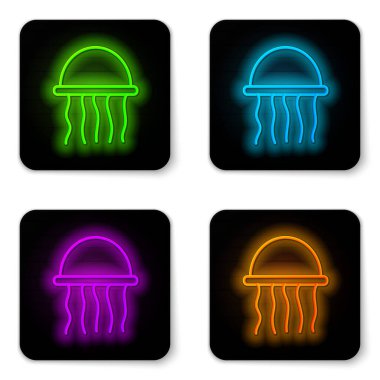 Parlayan neon hattı denizanası simgesi beyaz arka planda izole edildi. Siyah kare düğme. Vektör..