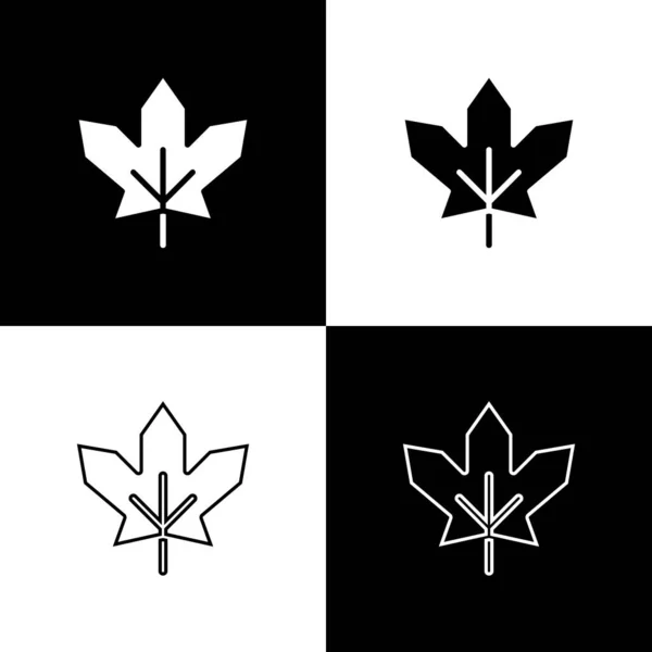 Definir ícone de folha de bordo canadense isolado no fundo preto e branco. Canadá folha de bordo símbolo. Vetor —  Vetores de Stock