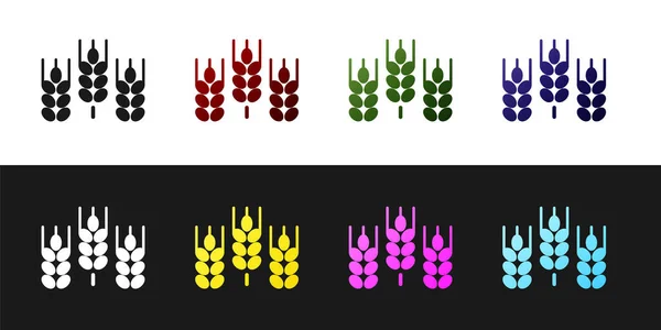 Set Granen gezet met rijst, tarwe, maïs, haver, rogge, gerst pictogram geïsoleerd op zwart-wit achtergrond. Oren van tarwebrood symbolen. Vector — Stockvector