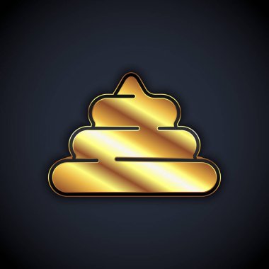 Gold Shit icon isolated on black background.  Vector