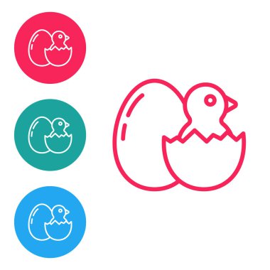 Kırık yumurta ikonlu küçük piliç beyaz arka planda izole edilmiş. Simgeleri daire düğmelerine ayır. Vektör